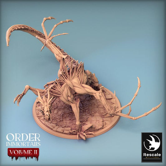 Immortalis Dragon - Attack (100mm Base)