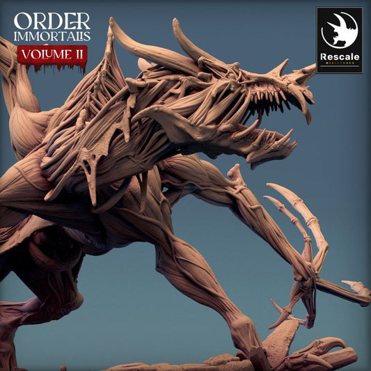 Immortalis Dragon - Attack (100mm Base)