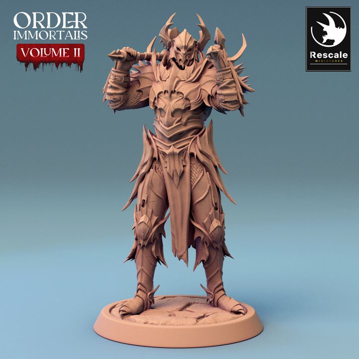 Collection Undead Warrior Knight Miniature | Medium | Rescale Miniatures | D&D DnD Pathfinder Miniature