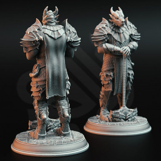 Dragonborn Warrior Knight Figure | Medium | DM Stash | D&D DnD Pathfinder Miniature
