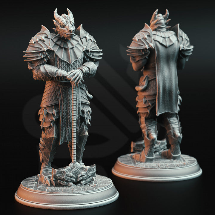 Dragonborn Warrior Knight Figure | Medium | DM Stash | D&D DnD Pathfinder Miniature