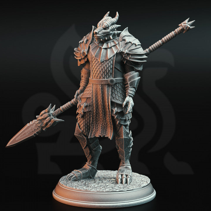 Dragonborn Warrior Knight Figure | Medium | DM Stash | D&D DnD Pathfinder Miniature