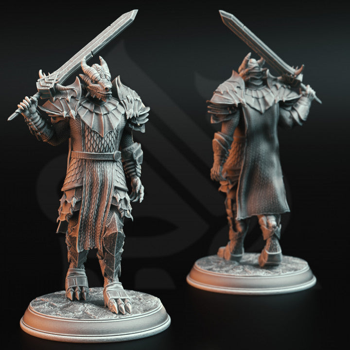 Dragonborn Warrior Knight Figure | Medium | DM Stash | D&D DnD Pathfinder Miniature