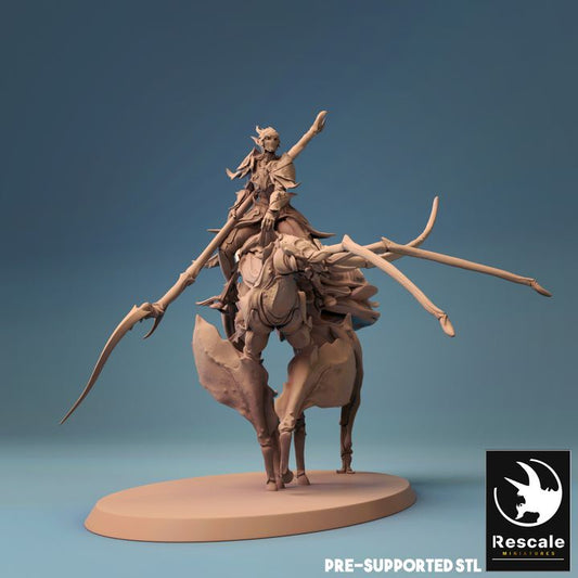 Elf Rider Insect Mount Combat | Large | Rescale Miniatures | D&D DnD Pathfinder Miniature
