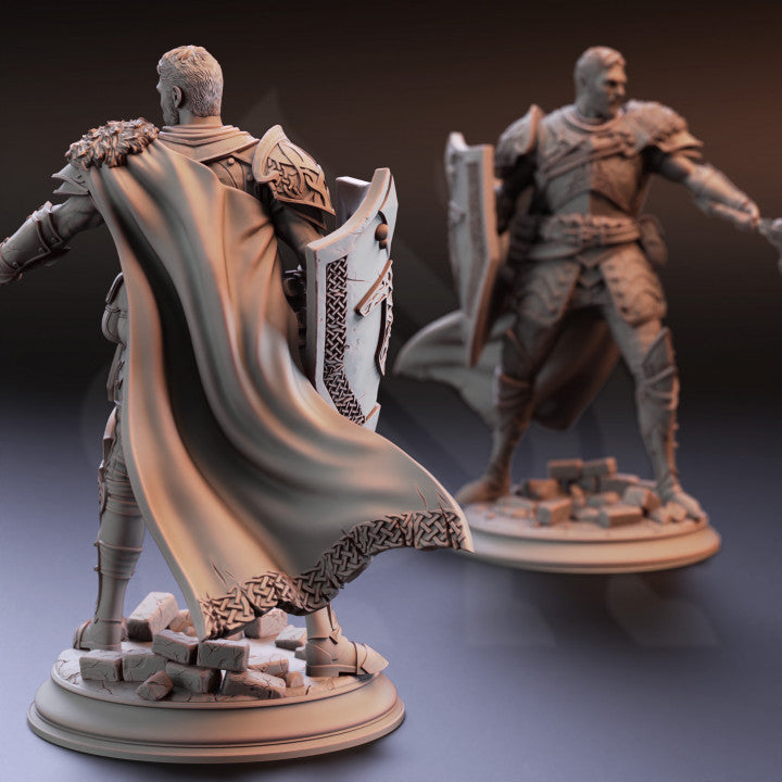 Nordic Nature Paladin - Guard (25mm Base)
