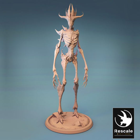 Mantis - Standing (50mm Base)