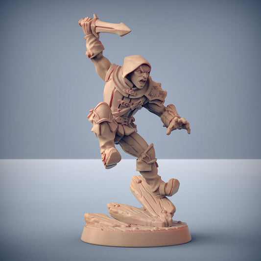 Thief Rogue Stealth Adept | Medium | Artisan Guild | D&D DnD Pathfinder Miniature