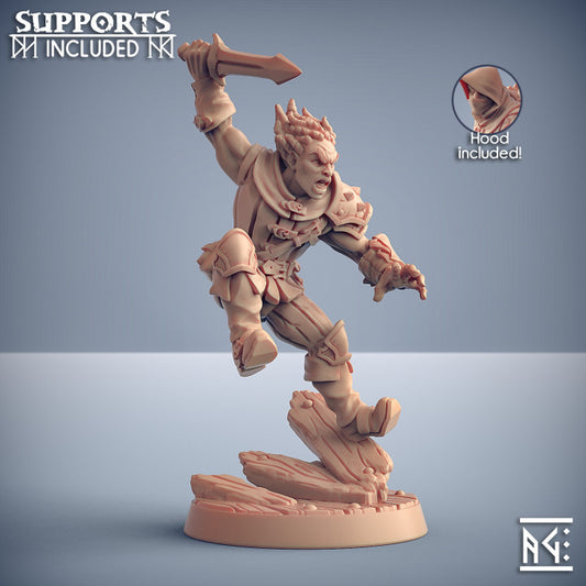 Thief Rogue Stealth Adept | Medium | Artisan Guild | D&D DnD Pathfinder Miniature