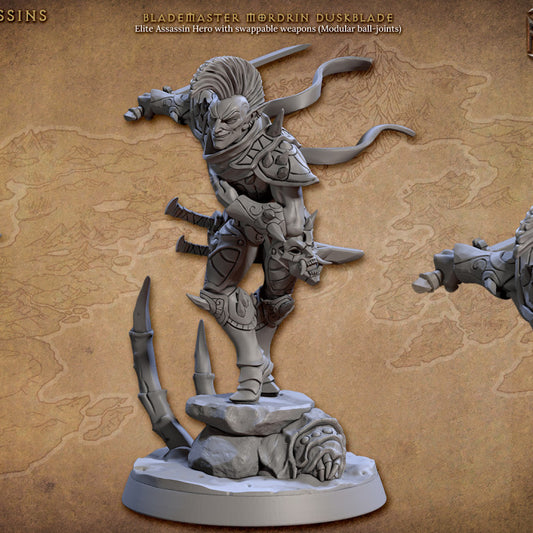 Elf Assassin Rogue Stealth Combat | Medium | Artisan Guild | D&D DnD Pathfinder Miniature