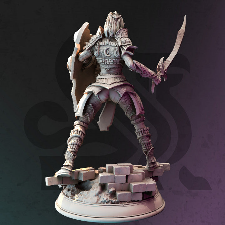 Drow Paladin Elf Warrior Figure | Medium | DM Stash | D&D DnD Pathfinder Miniature