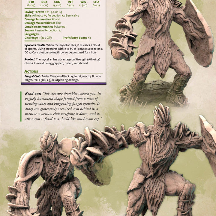 Mycelian Fungal Guard Miniature | Medium | Mammoth Factory | D&D DnD Pathfinder Miniature