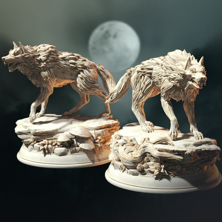 Northern Direwolf Pack Beasts | Medium | DM Stash | D&D DnD Pathfinder Miniature