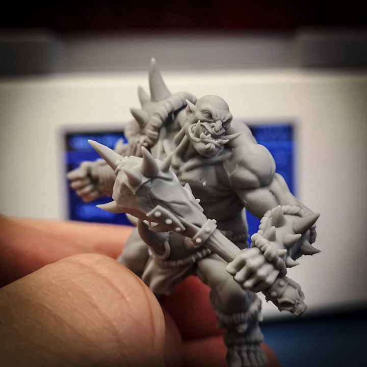 Ogre Marauder - Armed (50mm Base)