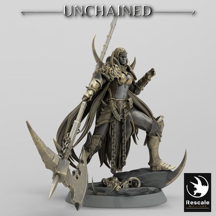 Dark Elf Fighter Guard Warrior | Medium | Rescale Miniatures | D&D DnD Pathfinder Miniature