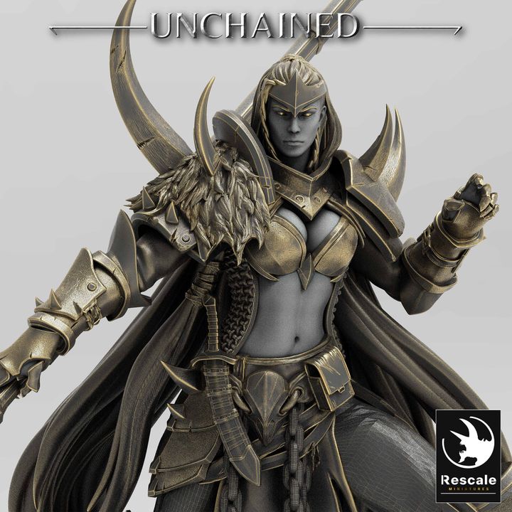 Dark Elf Fighter Guard Warrior | Medium | Rescale Miniatures | D&D DnD Pathfinder Miniature