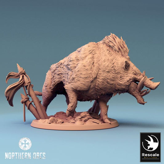 Boar Turn (Large 50mm)