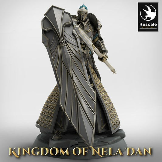 Elven Guard Spear Shield Fighter | Medium | Rescale Miniatures | D&D DnD Pathfinder Miniature