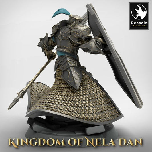 Elven Warrior Guard Spear Shield | Medium | Rescale Miniatures | D&D DnD Pathfinder Miniature