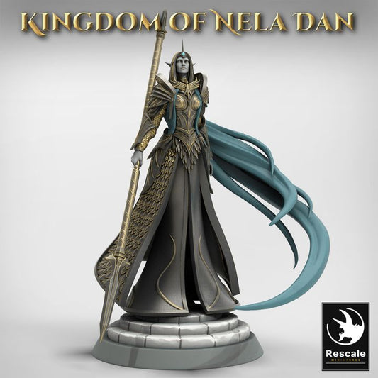 Elven Queen Warrior Command | Medium | Rescale Miniatures | D&D DnD Pathfinder Miniature