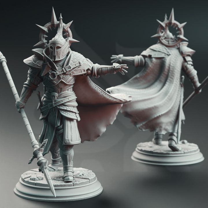 Bodyguard Knight Fighter Guard | Medium | DM Stash | D&D DnD Pathfinder Miniature