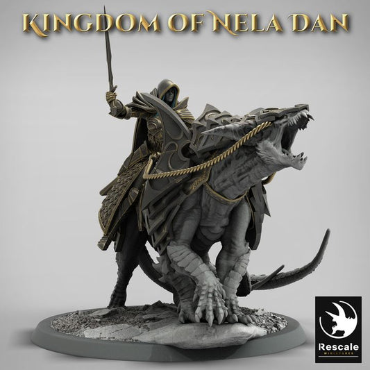 Mounted Sword Elf Beast Rider | Large | Rescale Miniatures | D&D DnD Pathfinder Miniature