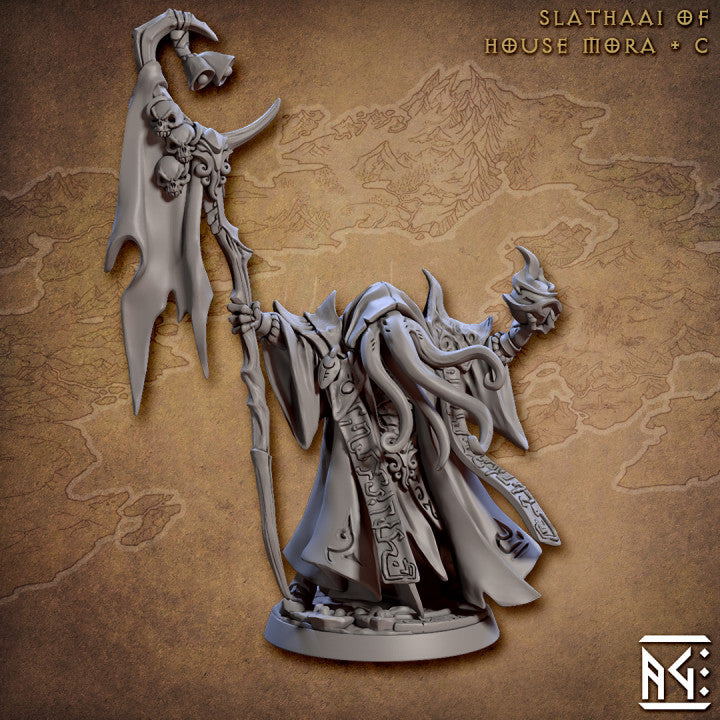 Tentacled Sorcerer Arcane Spellcaster | Medium | Artisan Guild | D&D DnD Pathfinder Miniature