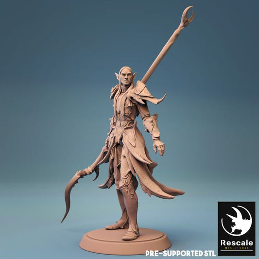 Elf Warrior Spear Agility Fighter | Medium | Rescale Miniatures | D&D DnD Pathfinder Miniature