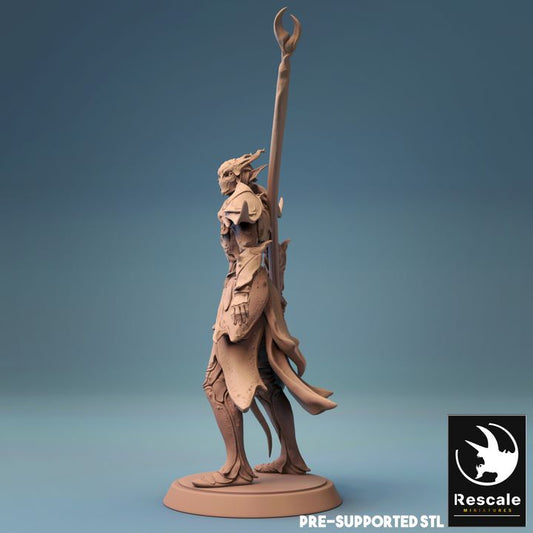 Elf Warrior Spear Agility Fighter | Medium | Rescale Miniatures | D&D DnD Pathfinder Miniature