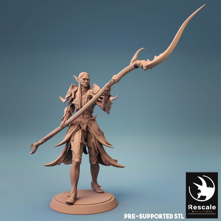 Elf Warrior Spear Fighter | Medium | Rescale Miniatures | D&D DnD Pathfinder Miniature