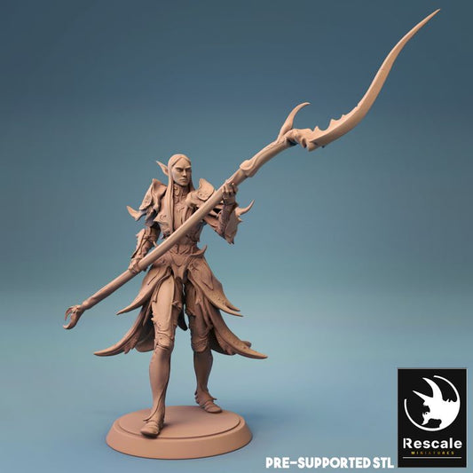 Elf Warrior Spear Fighter | Medium | Rescale Miniatures | D&D DnD Pathfinder Miniature