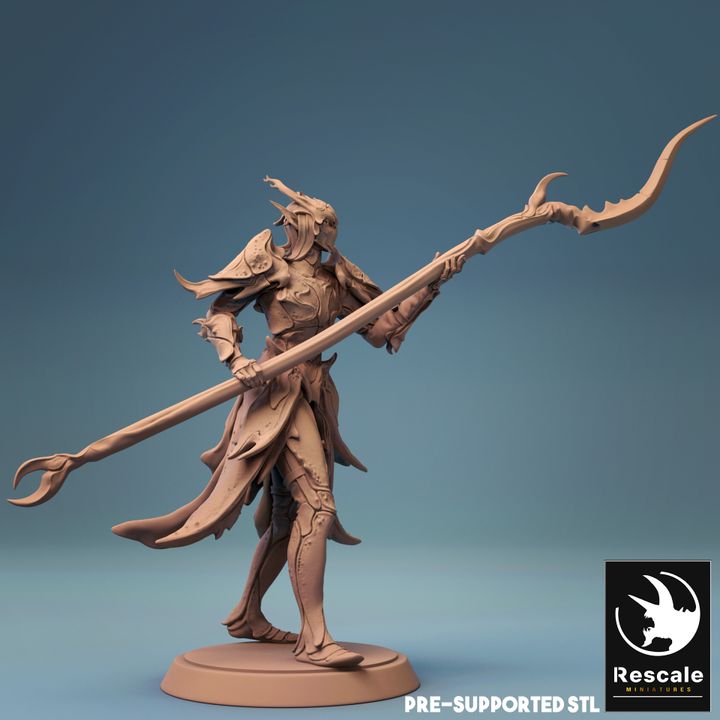 Elf Warrior Spear Fighter | Medium | Rescale Miniatures | D&D DnD Pathfinder Miniature