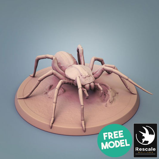 Giant Spider Beasts Monsters Large | Large | Rescale Miniatures | D&D DnD Pathfinder Miniature
