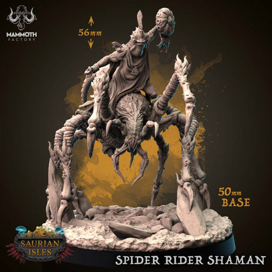 Spider Rider Shaman - Casting (50mm Base)