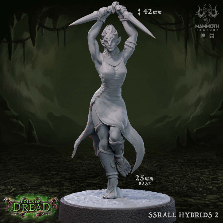 Reptilian Warrior Humanoid Rogue | Medium | Mammoth Factory | D&D DnD Pathfinder Miniature