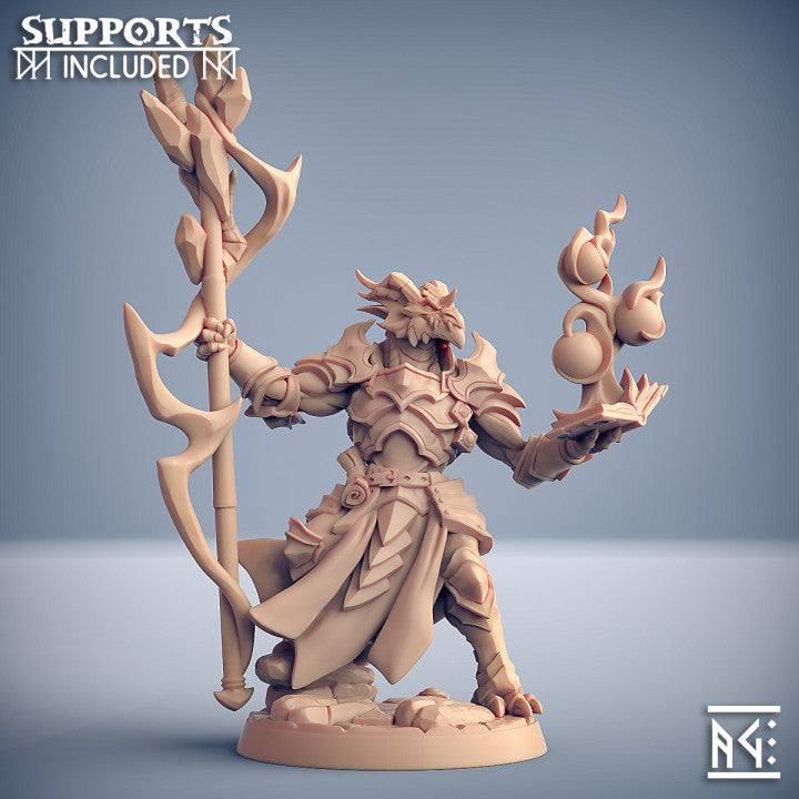 Dragonborn Battlemage Sorcerer Guard | Medium | Artisan Guild | D&D DnD Pathfinder Miniature