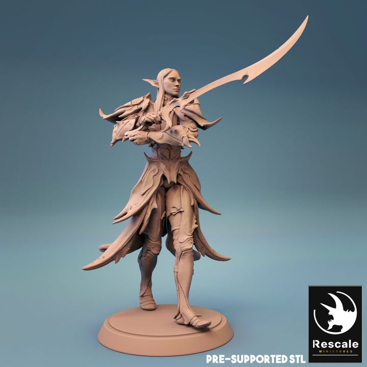Elf Warrior Duelist Fighter | Medium | Rescale Miniatures | D&D DnD Pathfinder Miniature