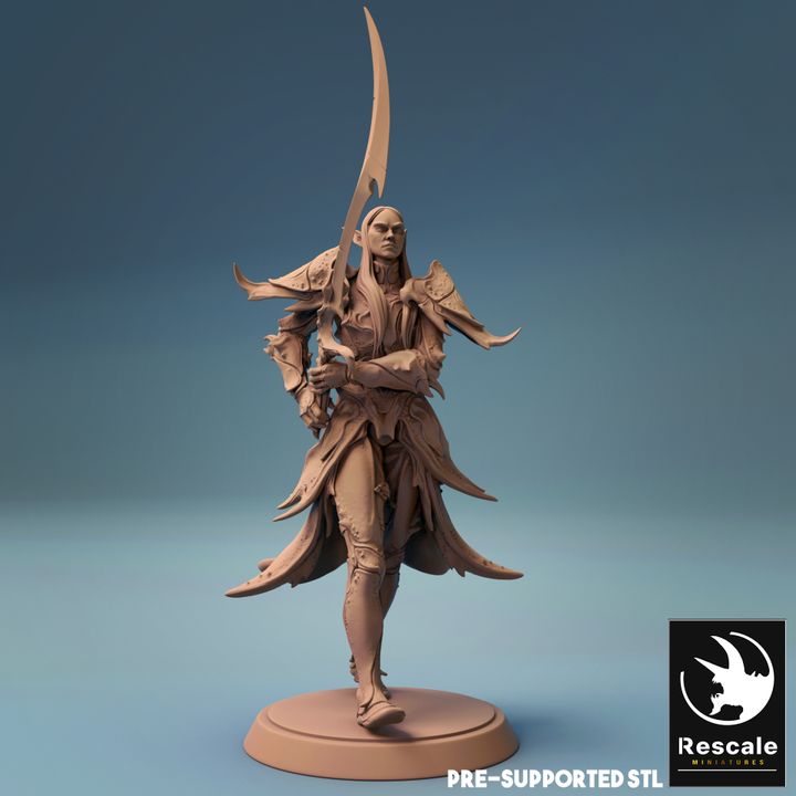 Elf Warrior Sword Fighter | Medium | Rescale Miniatures | D&D DnD Pathfinder Miniature