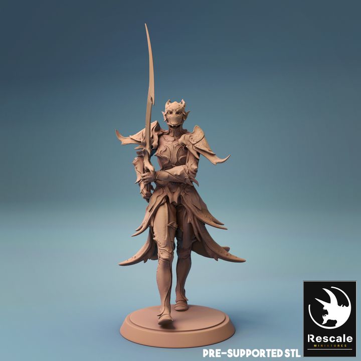 Elf Warrior Sword Fighter | Medium | Rescale Miniatures | D&D DnD Pathfinder Miniature