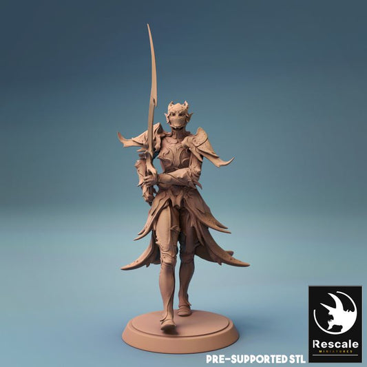 Elf Warrior Sword Fighter | Medium | Rescale Miniatures | D&D DnD Pathfinder Miniature