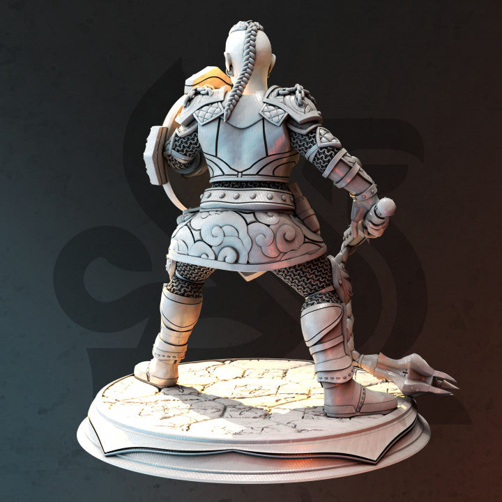 Dwarf Knowledge Cleric Armor Shield | Medium | DM Stash | D&D DnD Pathfinder Miniature