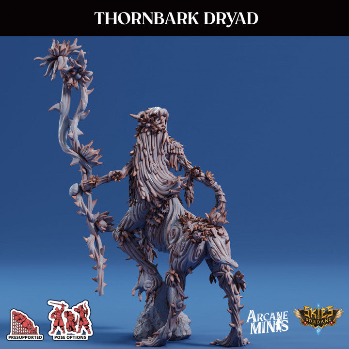 Thornbark Dryad - Casting (50mm Base)