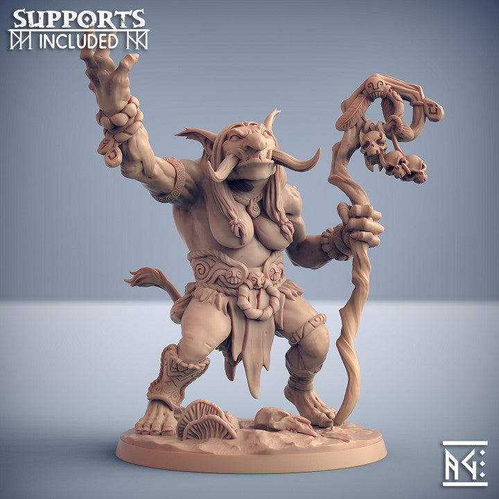 Troll Hag Sorcerer Staff Ritual | Large | Artisan Guild | D&D DnD Pathfinder Miniature