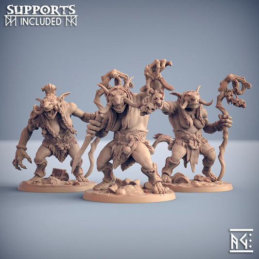 Troll Hag Sorcerer Staff Ritual | Large | Artisan Guild | D&D DnD Pathfinder Miniature
