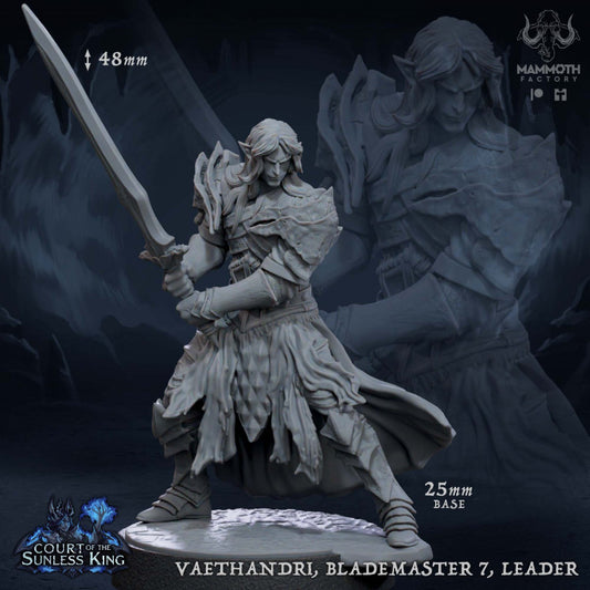 Vaethandri, Blademaster Leader - Guard (25mm Base)