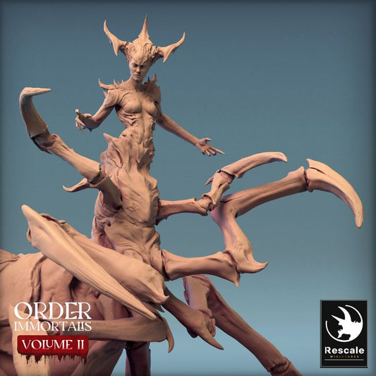 Collection Spider Hybrid Monstrosity Humanoid | Large | Rescale Miniatures | D&D DnD Pathfinder Miniature
