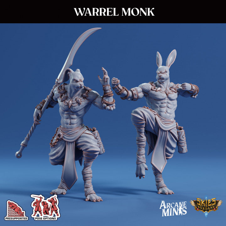 Warrior Monk Martial Artist Fighter | Medium | Sordane Publishing | D&D DnD Pathfinder Miniature