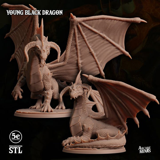 Young Black Dragon - Regal (50mm Base)