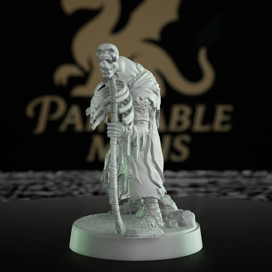 Undead Ogre Sorcerer Miniature Figure | Medium | Mammoth Factory | D&D DnD Pathfinder Miniature