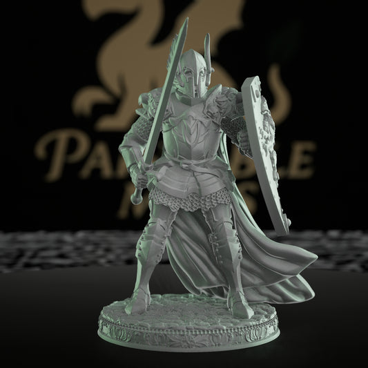 Human Fighter Paladin Griffins | Medium | DM Stash | D&D DnD Pathfinder Miniature