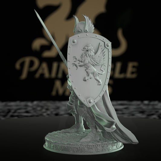 Human Fighter Paladin Griffins | Medium | DM Stash | D&D DnD Pathfinder Miniature